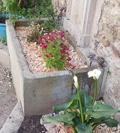 Oda ve Kahvaltı Le 9 De Cour, Caouette